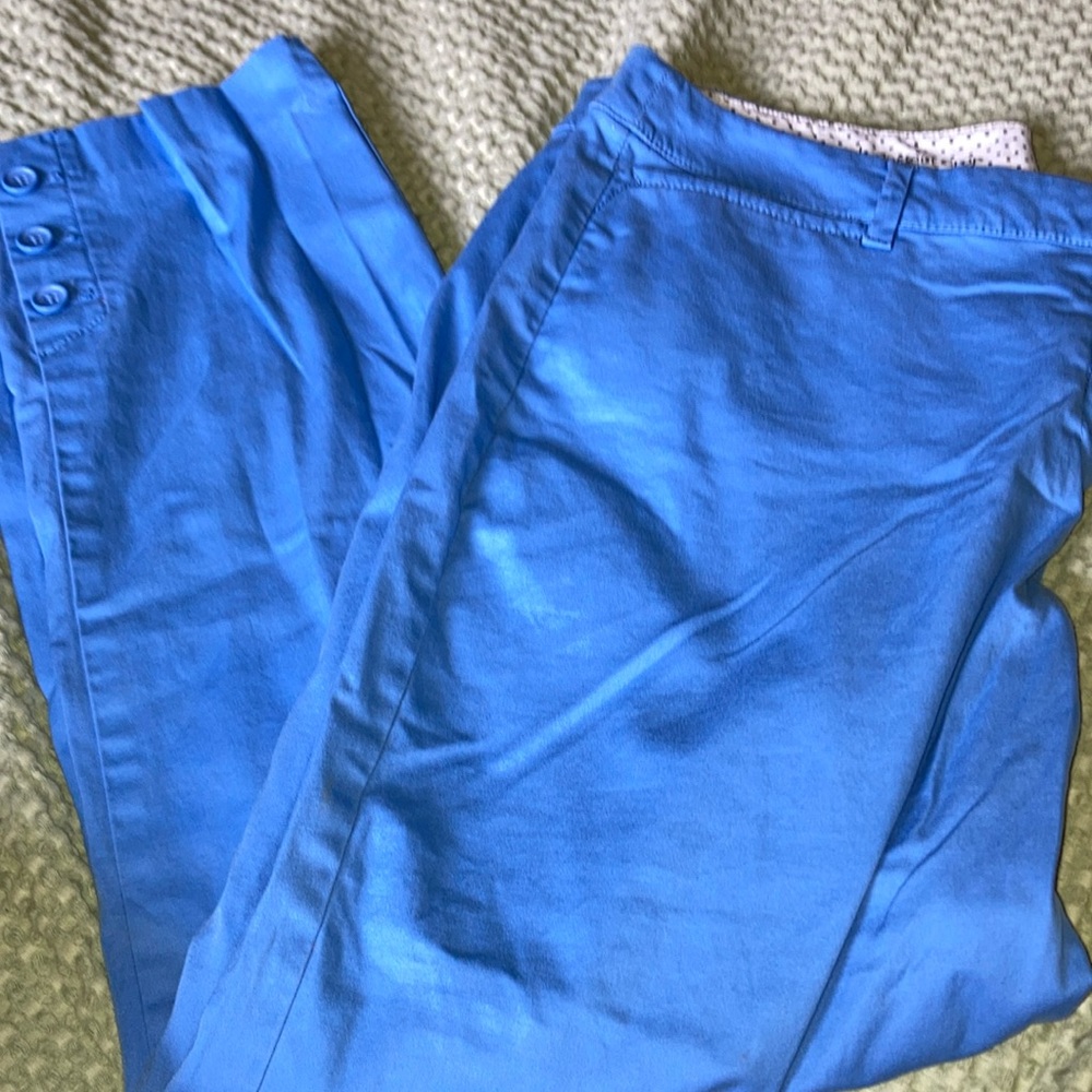 Talbots Blue Ankle Pants